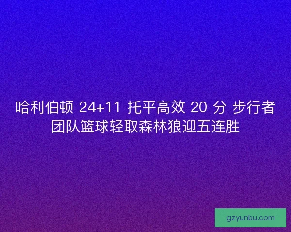 哈利伯顿 24+11 托平高效 20 分 步行者团队篮球轻取森林狼迎五连胜